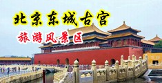 想要免费操她逼中国北京-东城古宫旅游风景区